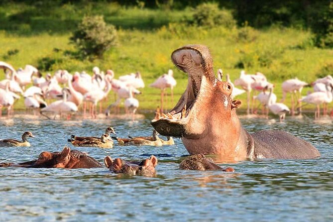 Nairobi National Park Group Tour - Who will get the most from this tour?