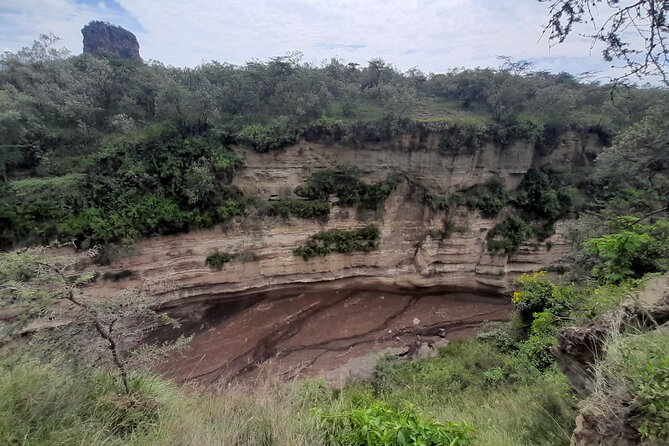 Nairobi National Park Group Tour - Booking and cancellation details to know