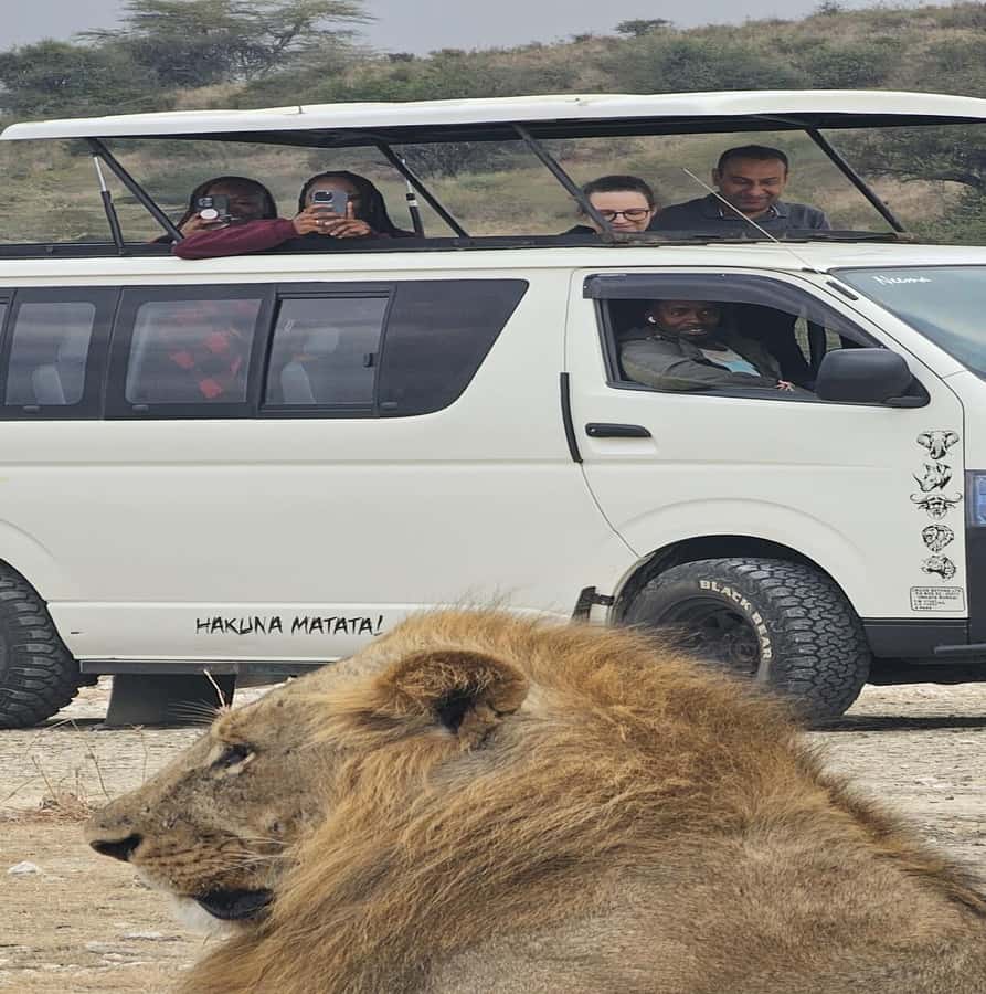 Nairobi: National Park Guided Game Drive - Key points to know before you book