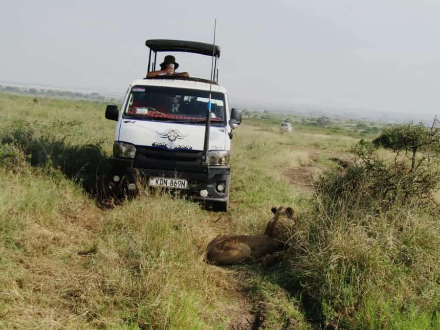 Nairobi: National Park Guided Game Drive For 5 Hours - Why Nairobi National Park Is Worth Your Time