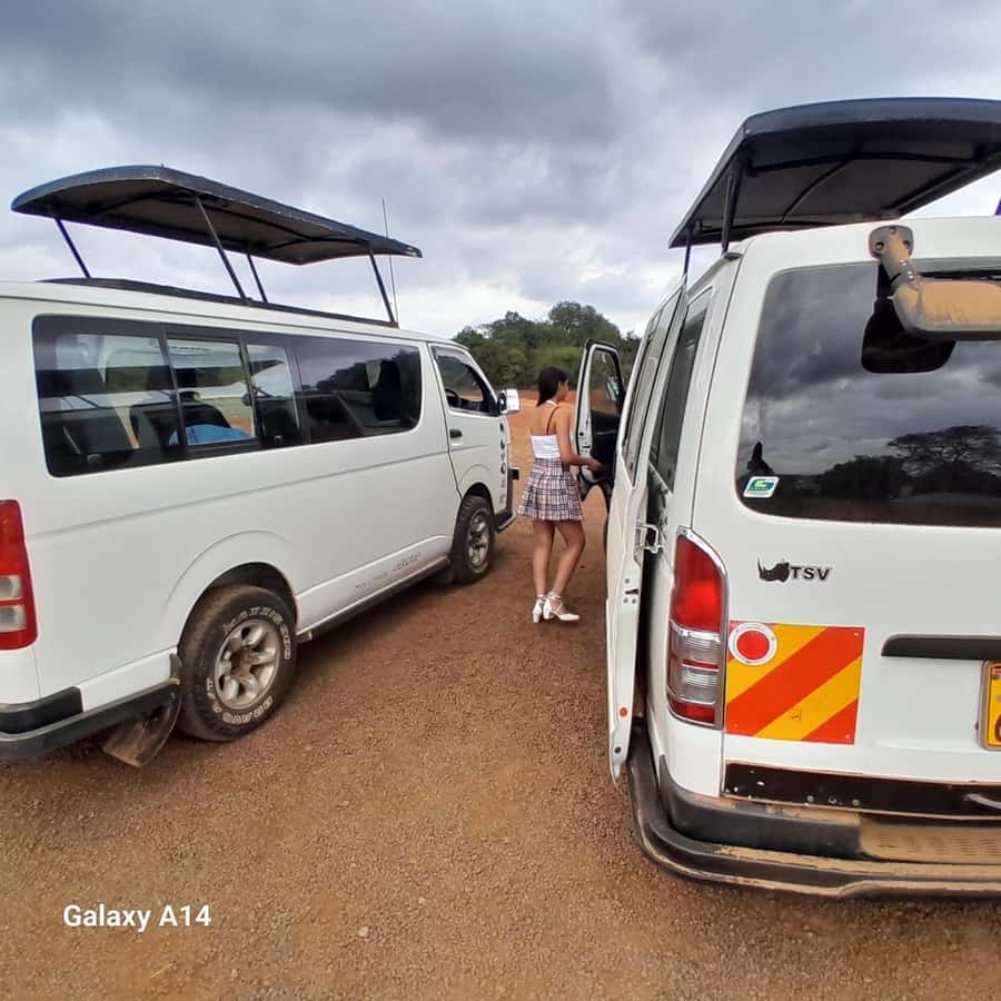 Nairobi National Park: Half-Day Group Tour with Pickup - The city skyline is part of the view