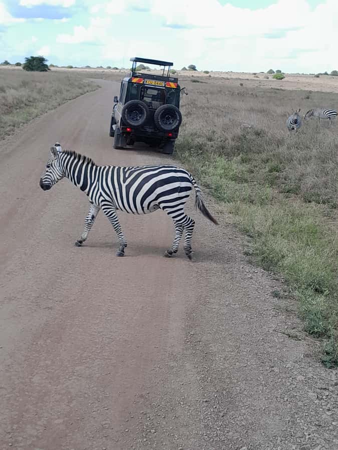 Nairobi National Park: Half-Day Group Tour with Pickup - Should you book it?