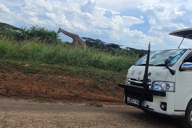Nairobi National Park Half Day Tour - Rhino viewing and the optional add-on