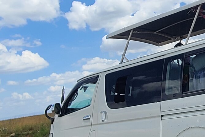 Nairobi national park half day tour - Weather, timing, and the limits of a half-day trip