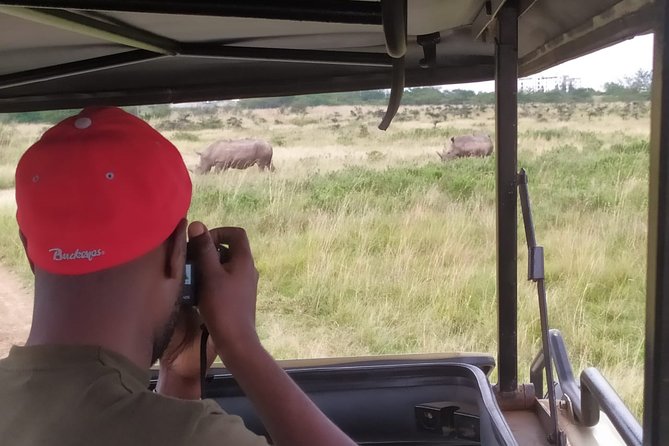 Nairobi National Park Half-Day Tour; Free Wi-Fi connection - Hotel pickup and the trip to the gate