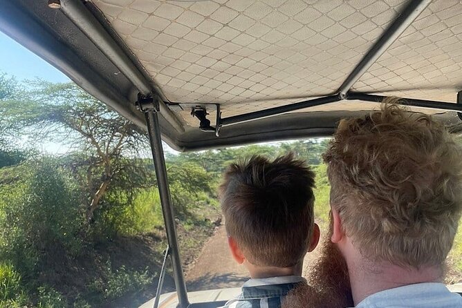 Nairobi National Park half-Day Tour; Free wifi Connection - Why Nairobi National Park works for a short safari