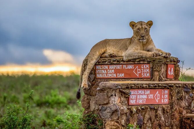 Nairobi National Park half-Day Tour; Free wifi Connection - The skyline creates unusual photo opportunities