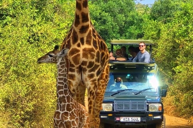 Nairobi National Park Half Day Tour with Landcruiser with Pickup - Pickup, the one-hour start, and the Landcruiser