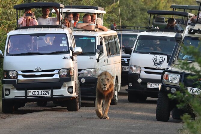 Nairobi National Park Half Day Tour with Landcruiser with Pickup - The real price: $105.50 before lunch