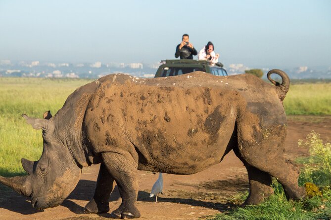 Nairobi National Park Half Day Tour with Landcruiser with Pickup - Five hours among rhinos, lions, and river habitats