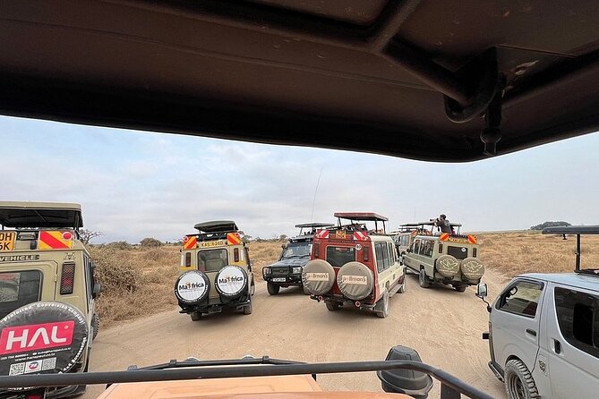 Nairobi National Park Half Day with Pickup - The wildlife you might see