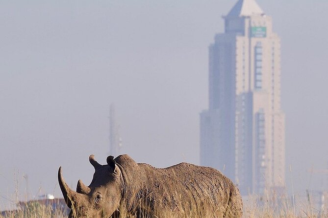 Nairobi National Park Half Day with Pickup - What the $44 price includes, and what it does not