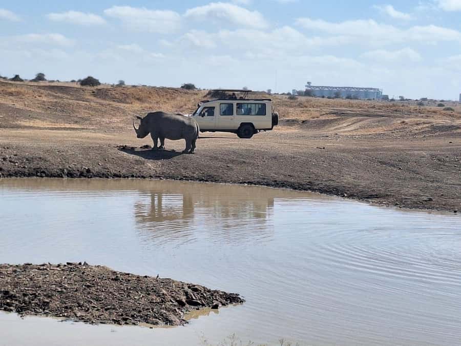 Nairobi National Park Morning Or Evening Game Drive Tour - Nairobi’s remarkable city-edge safari