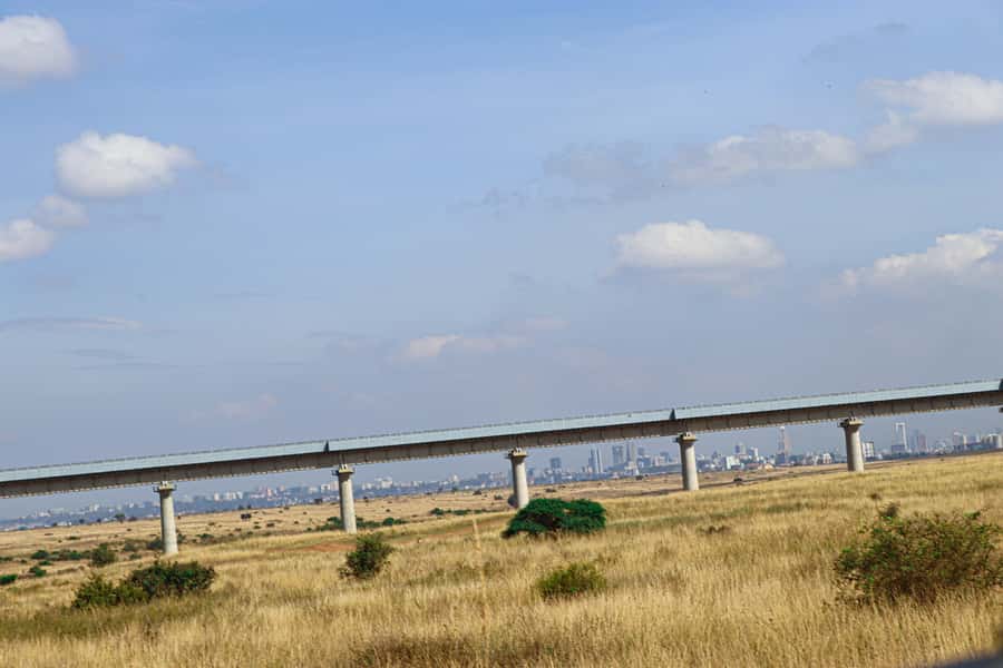 Nairobi National Park, Orphanage, Giraffe & Beads Tour - The elephant orphanage requires planning