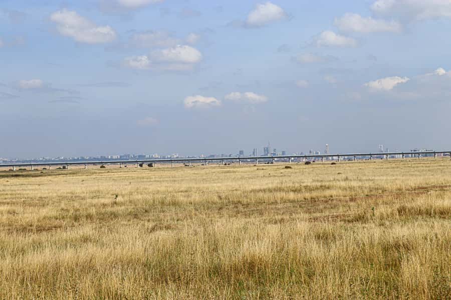 Nairobi National Park, Orphanage, Giraffe & Beads Tour - Who will get the most from this Nairobi day