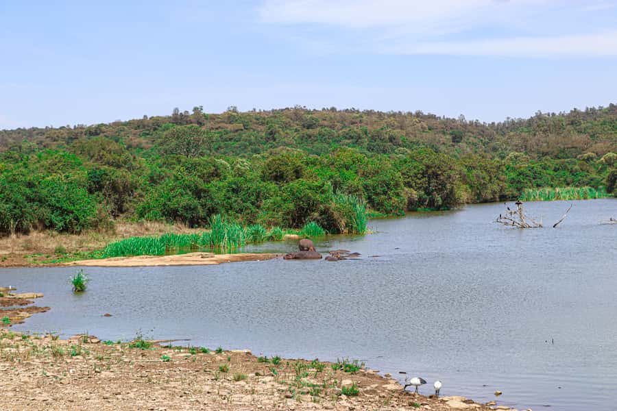 Nairobi National Park, Orphanage, Giraffe & Beads Tour - FAQ