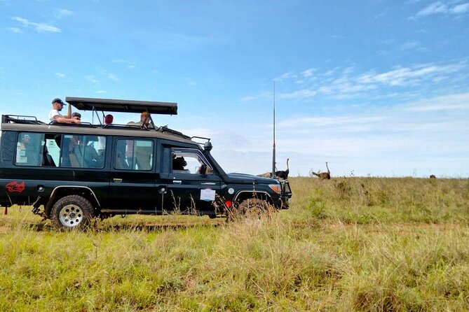 Nairobi National park private day tour - What the $90 price really covers
