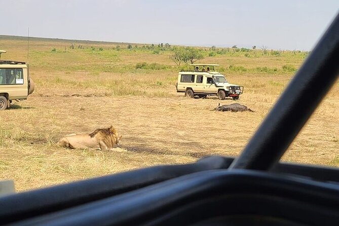 Nairobi National Park Private Half Day Tour with Pick up - What happens during the five-hour game drive