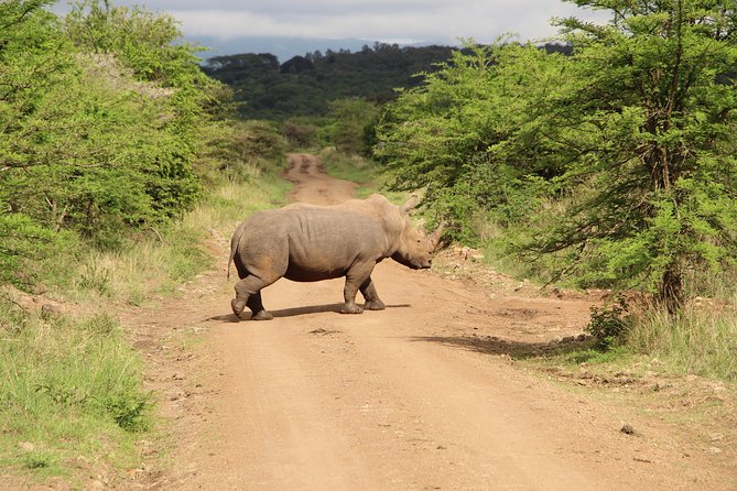 Nairobi National Park Private Safari - Sheldrick Wildlife Trust and the elephant hour
