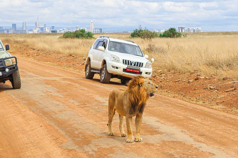 Nairobi: National Park Private Tour in 4X4 Jeep - Why Nairobi National Park works so well for a short safari
