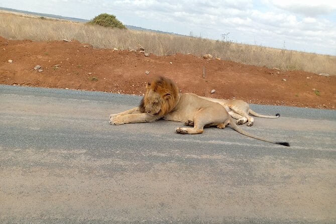 Nairobi National Park Safari With a Visit to Giraffe Center. - Booking, cancellation, and practical details