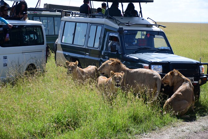 Nairobi National Park Shared Tour - What the Strong Service Feedback Tells You
