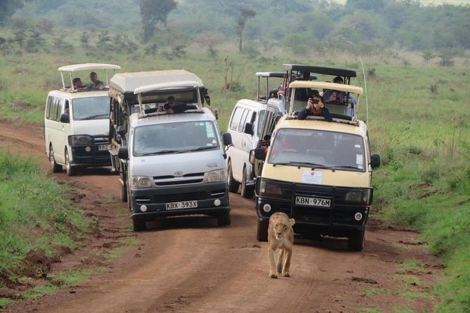 Nairobi National Park, Sheldrick Elephant, Giraffe Centre Tour - Who should book this Nairobi day tour?