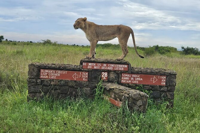 Nairobi National Park, Sheldrick Elephant, Giraffe Centre Tour - The early pickup and four-hour safari
