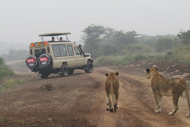 Nairobi National Park Sheldrick & Giraffe Centre Day Trip - Bomas of Kenya and the cultural side of the route