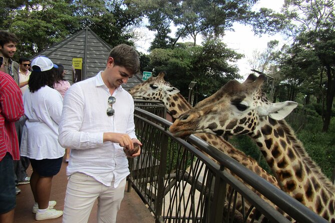 Nairobi National Park Sheldrick & Giraffe Centre Day Trip - Is $51.86 good value?