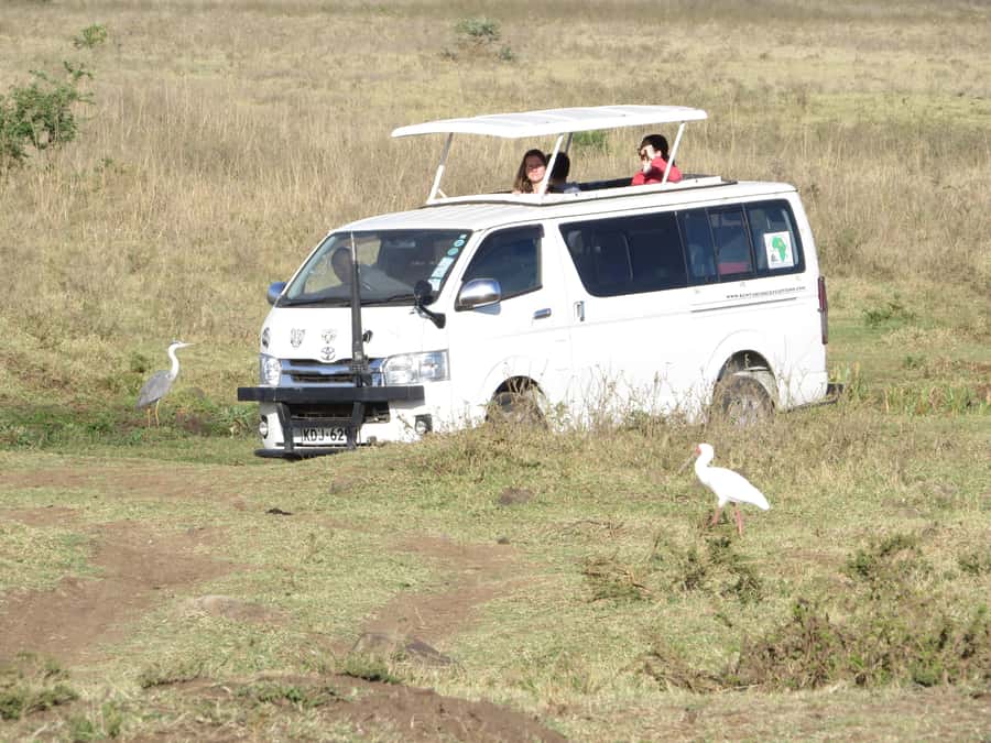Nairobi national park: Sunrise and Sunset Tours - Key points to know before you book