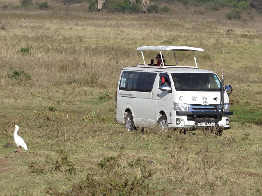 Nairobi national park: Sunrise and Sunset Tours - The 30-minute ride from Nairobi