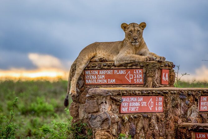 Nairobi National Park Tour - Pickup, duration, and practical details
