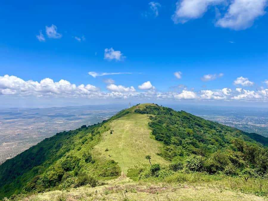 NAIROBI:Ngong Hills Day Hike,Group Tour - Planted forest, indigenous woodland, and changing views