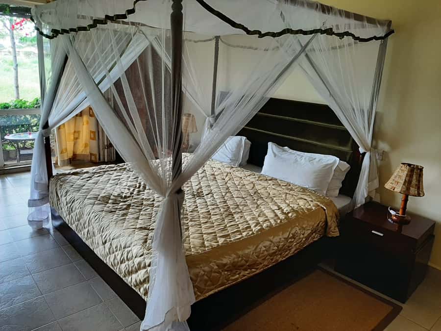 Nairobi: Overnight Safari Trip to Amboseli National Park - Key things to know before you book
