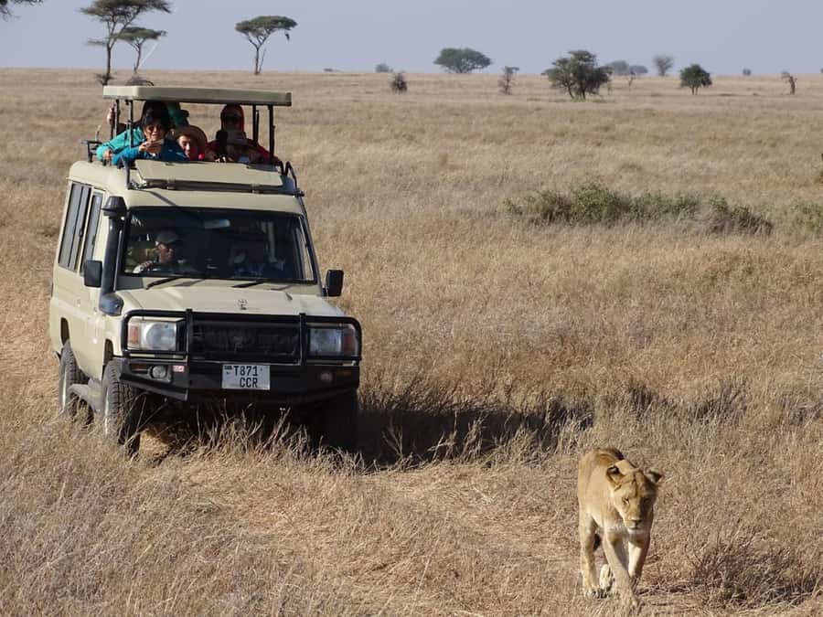 Nairobi: Overnight Safari Trip to Amboseli National Park - Observation Hill and the Oltukai Lodge lunch