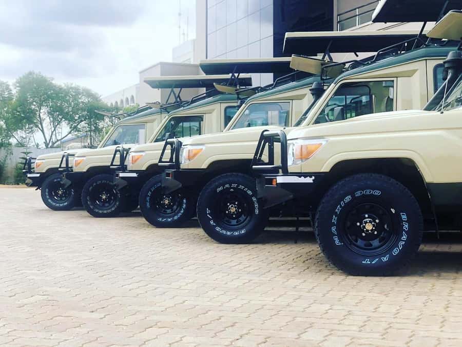 Nairobi: Overnight Safari Trip to Amboseli National Park - What you may see, and what you should not expect