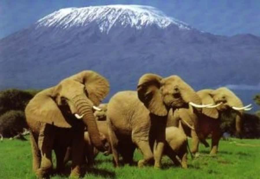 Nairobi: Overnight Safari Trip to Amboseli National Park - The Nairobi to Amboseli drive