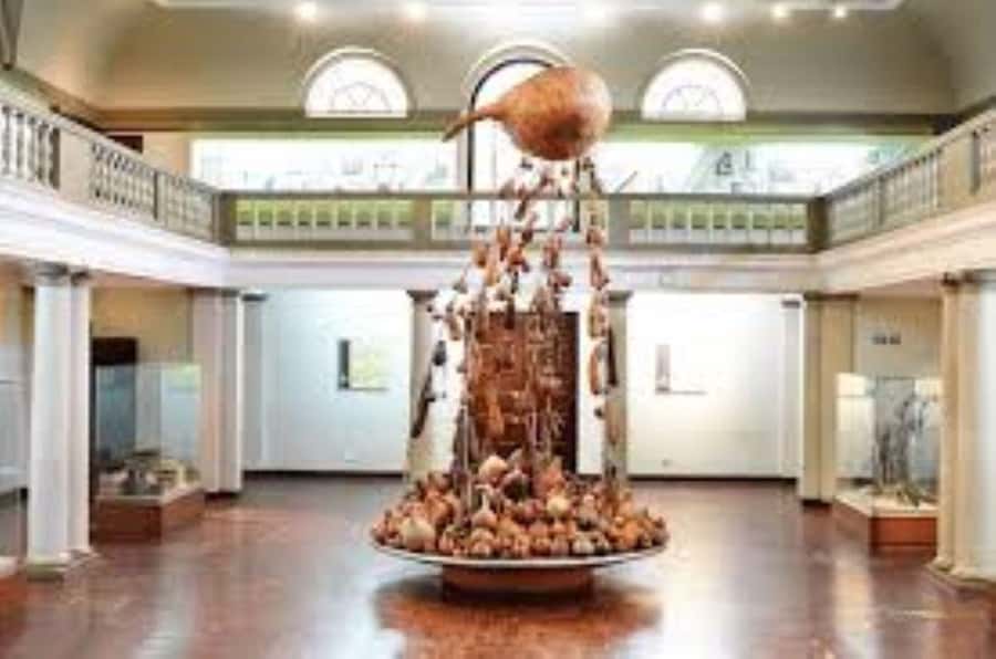 Nairobi Park, Giraffe & Elephant Orphanage with Museum Visit - Should you book the Nairobi wildlife and museum day?