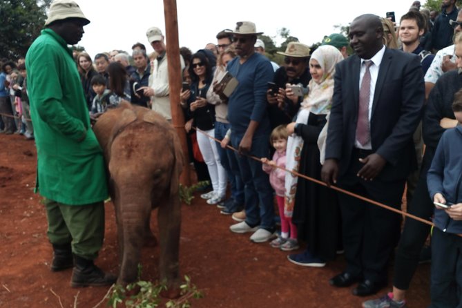 Nairobi park, steamark birds, Girraffe center & bomas - Who should book this Nairobi day tour?