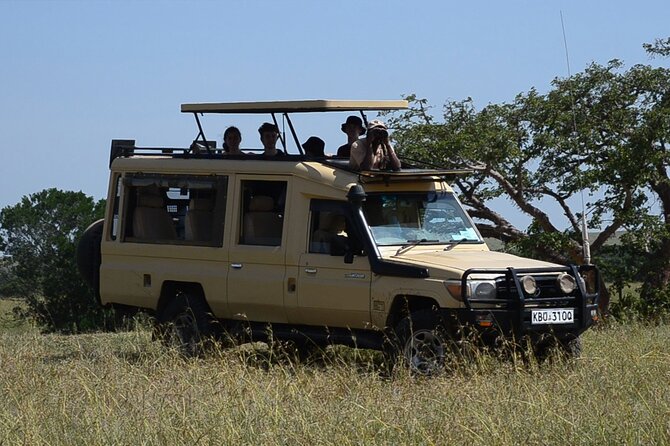 Nairobi Park Wildlife Safari - The 6:00 am departure sets the tone