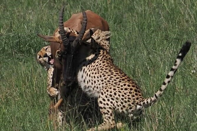 Nairobi Park Wildlife Safari - Nairobi Safari Walk adds a closer animal view