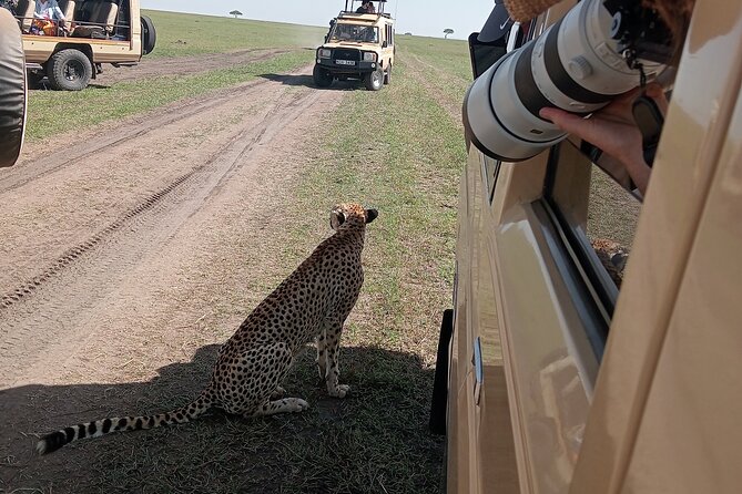Nairobi Park Wildlife Safari - Looking for lions, rhinos, and plains wildlife