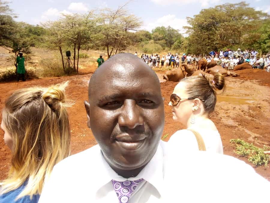 Nairobi: Private Elephant Orphanage Tour - Private vehicle, driver, and the value question
