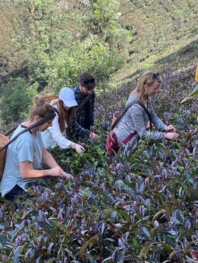 Nairobi: Purple Tea Farm Gatura Greens Day Trip - Who will enjoy this day most