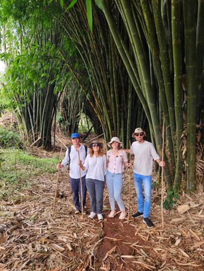 Nairobi: Purple Tea Farm Gatura Greens Day Trip - A tasting session with purple tea and Kenyan favorites