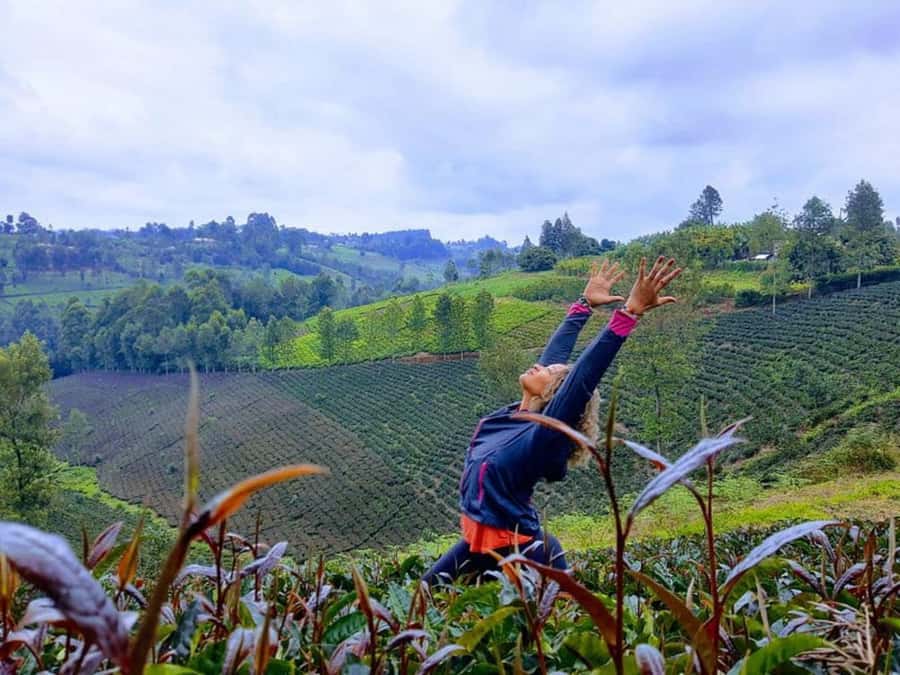 Nairobi: Purple Tea Farm Gatura Greens Day Trip - Farm lunch with tea in the menu