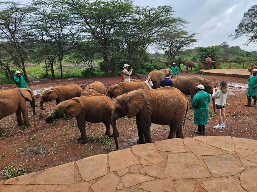 Nairobi’s Best:Elephants,Giraffes Center & Karen Blixen Tour - Wood crafts and Kazuri Beads add a local shopping stop