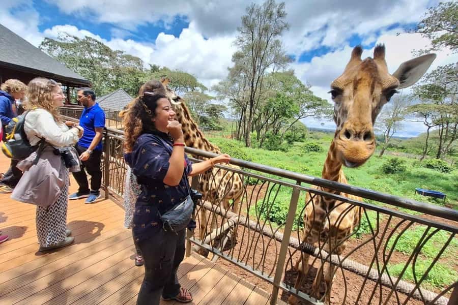 Nairobi: Sheldrick Elephant Orphanage and Giraffe Center - Feeding Rothschild giraffes at the Giraffe Centre