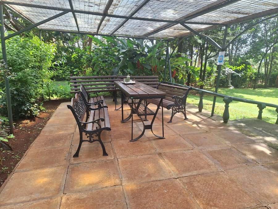 Nairobi: Tea Farm Day Trip with Lunch at kiambethu - Forest, indigenous plants, and the waterfall walk